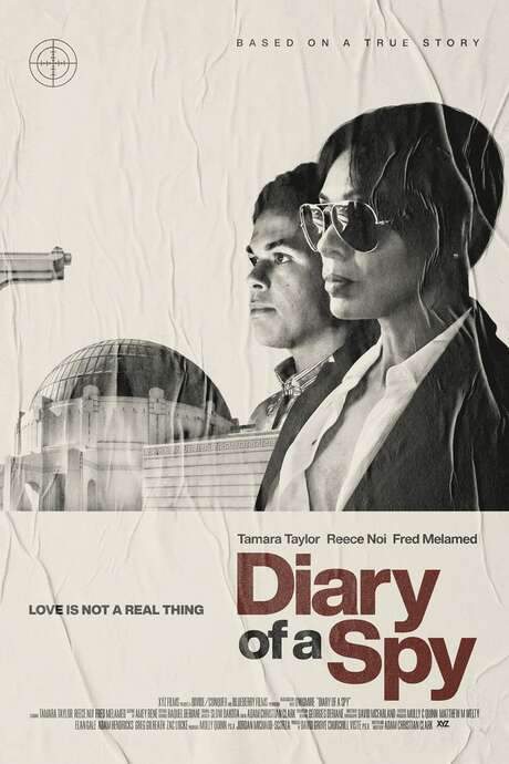 Diary of a Spy (2022) movie poster
