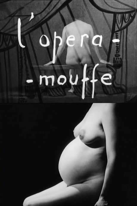 Diary of a Pregnant Woman (1958) movie poster
