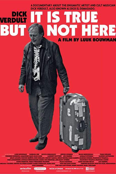 Dick Verdult: It is true but not here (2017) movie poster