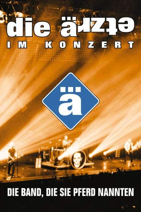 Die Ärzte: Die Band, die sie Pferd nannten (2004) movie poster