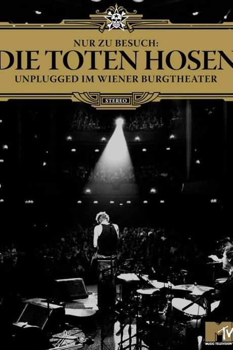 Die Toten Hosen - Nur zu Besuch (2006) movie poster