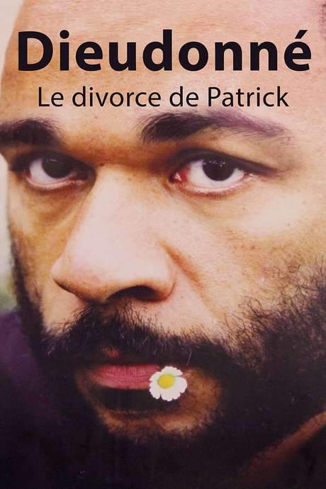 Dieudonné - Le Divorce de Patrick (2003) movie poster