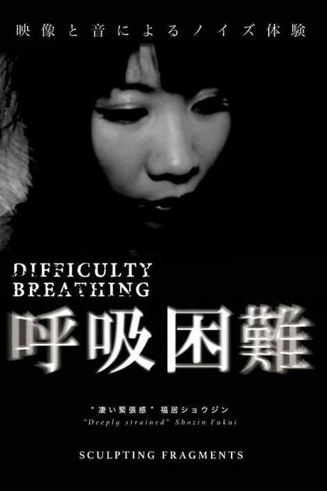 Difficulty Breathing (2017) movie poster