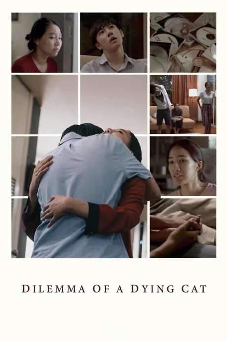 Dilemma Of A Dying Cat (2018) movie poster
