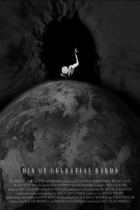 Din of Celestial Birds (2006) movie poster