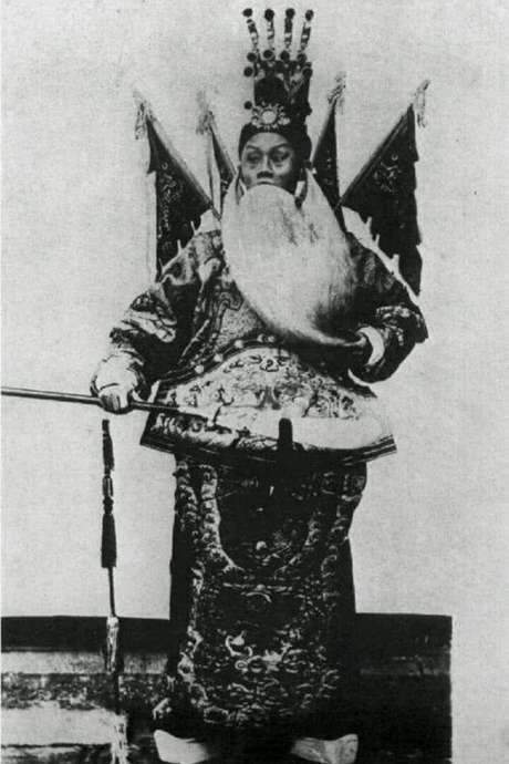 Dingjun Mountain (1905) movie poster