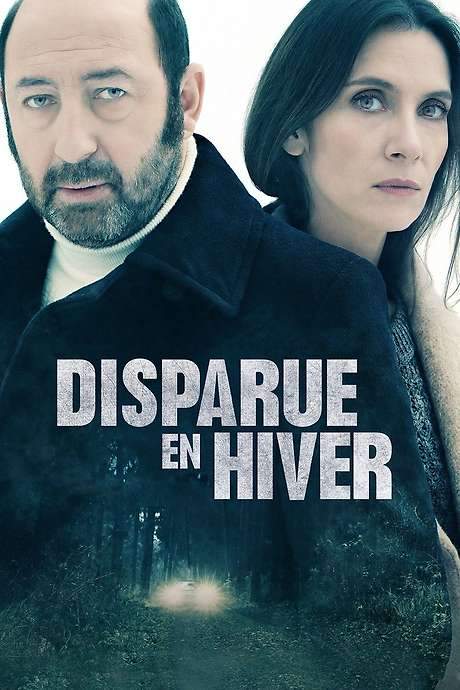 Disappeared in Winter (2015) movie poster