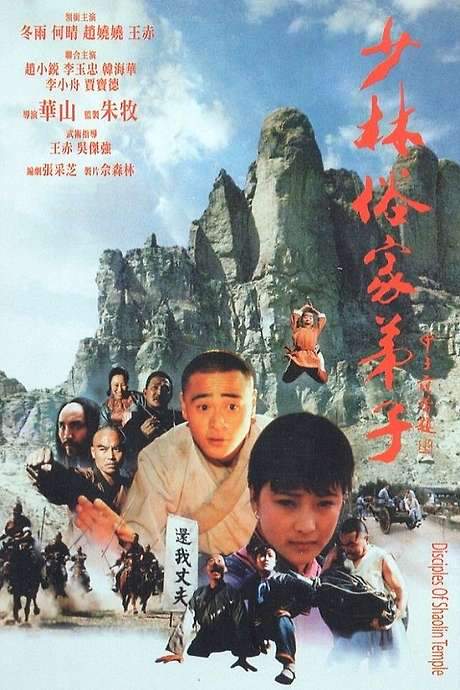 Disciples Of Shaolin (1985) movie poster