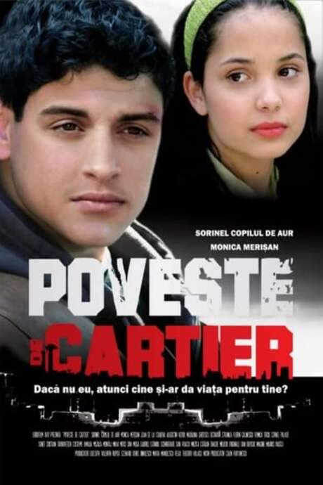 District Story (2008) movie poster