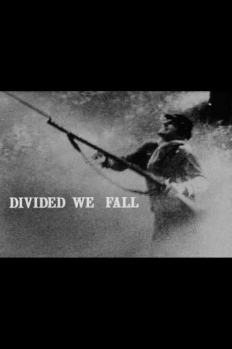 Divided We Fall (1982) movie poster