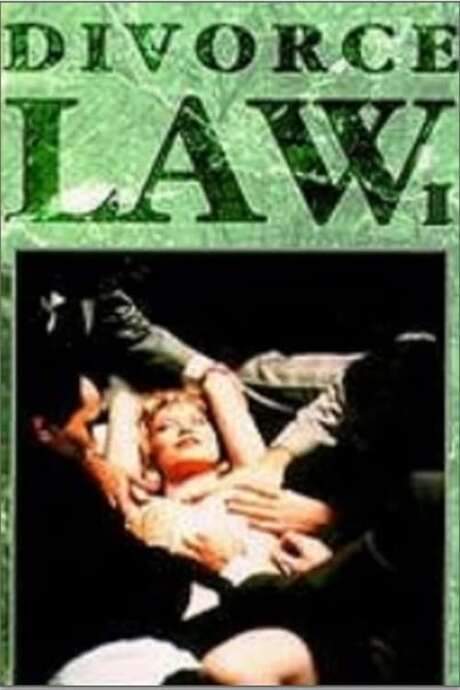 Divorce Law (1993) movie poster