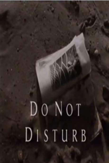 Do Not Disturb (1991) movie poster