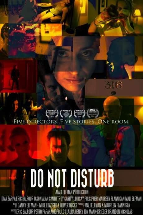 Do Not Disturb (2010) movie poster