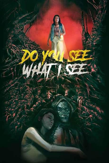 Do You See What I See (2024) movie poster