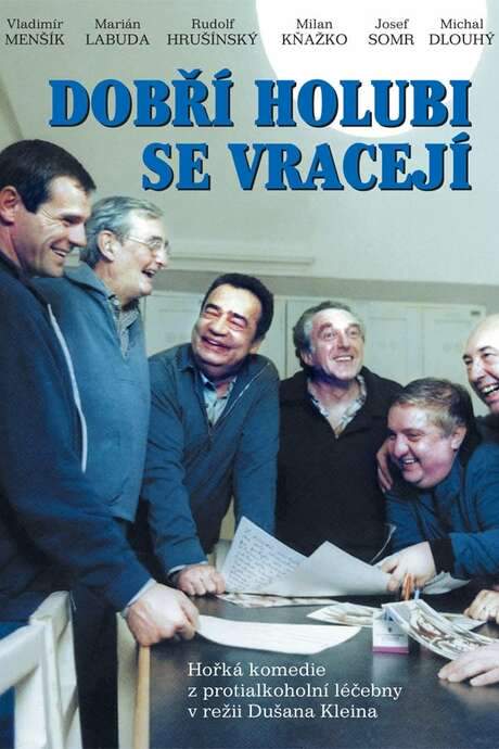 Dobří holubi se vracejí (1989) movie poster