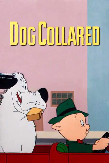 Dog Collared (1950) movie poster