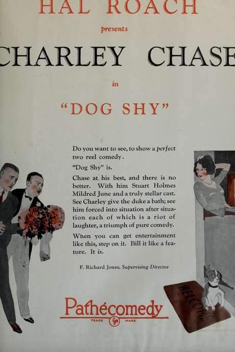 Dog Shy (1926) movie poster