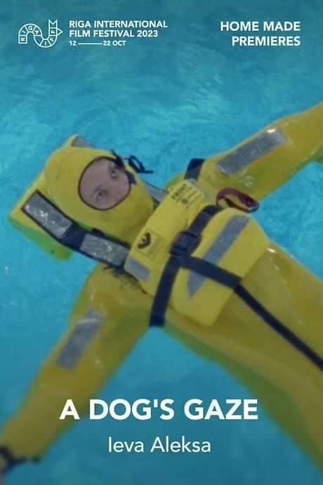 Dog’s Gaze (2023) movie poster