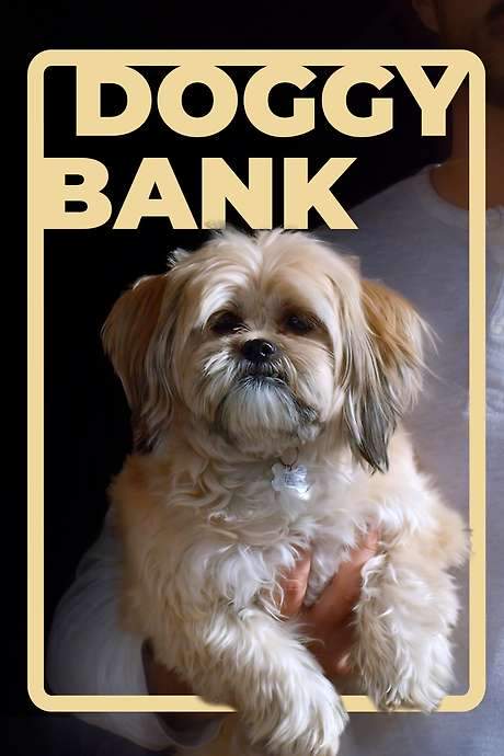 Doggy Bank (2023) movie poster
