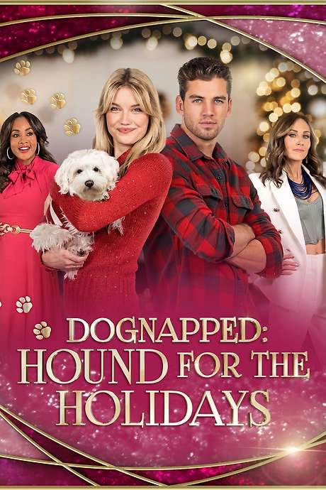 Dognapped: A Hound for the Holidays (2022) movie poster