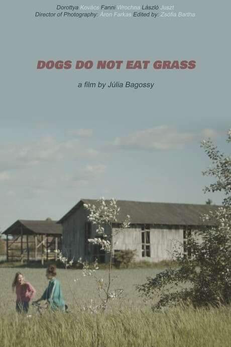 Dogs Do Not Eat Grass (2022) movie poster