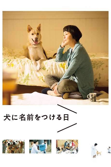 Dogs Without Names (2015) movie poster