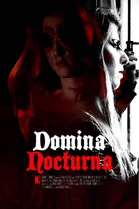 Domina Nocturna (2020) movie poster