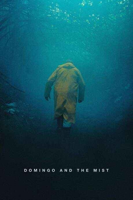 Domingo and the Mist (2022) movie poster