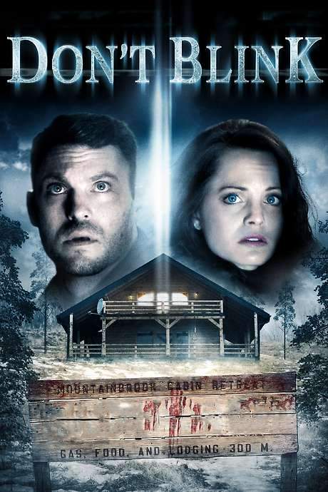 Don’t Blink (2014) movie poster