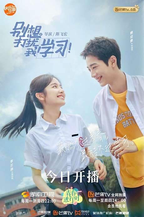Don’t Disturb My Study (2021) movie poster