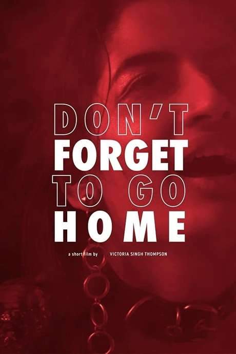 Don’t Forget to Go Home (2020) movie poster