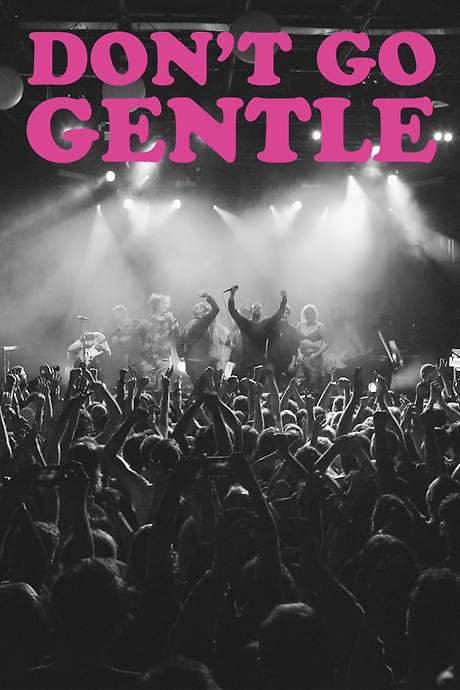 Don’t Go Gentle: A Film About IDLES (2020) movie poster