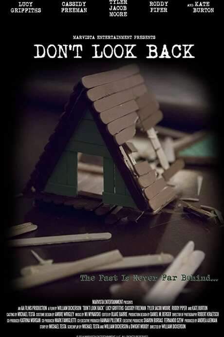 Don’t Look Back (2014) movie poster