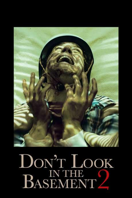 Don’t Look in the Basement 2 (2015) movie poster