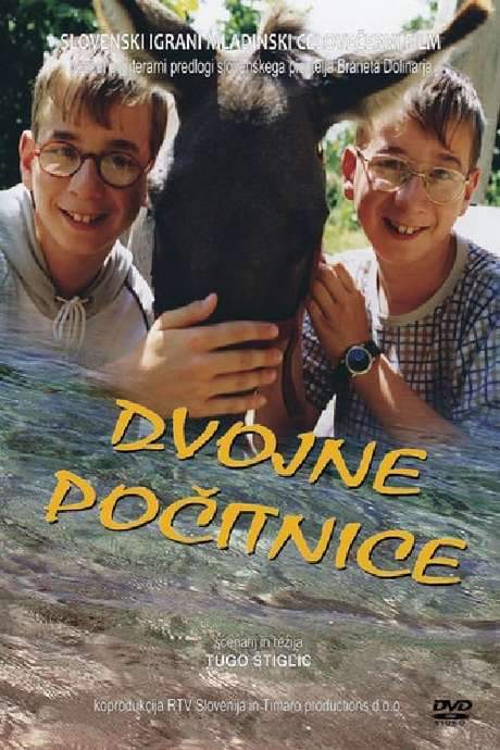 Double Holidays (2001) movie poster