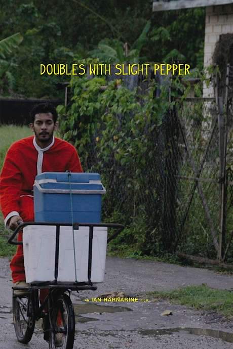 Doubles with Slight Pepper (2011) movie poster