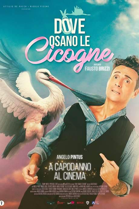 Dove osano le cicogne (2025) movie poster