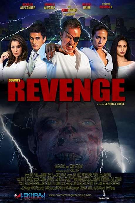 Down’s Revenge (2019) movie poster
