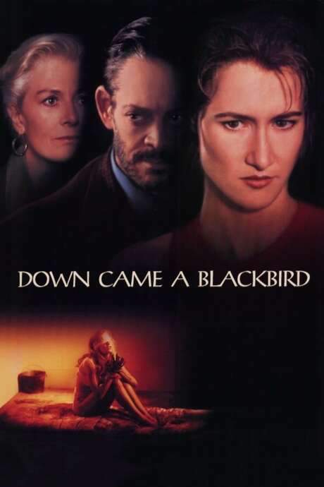 Down Came a Blackbird (1995) movie poster