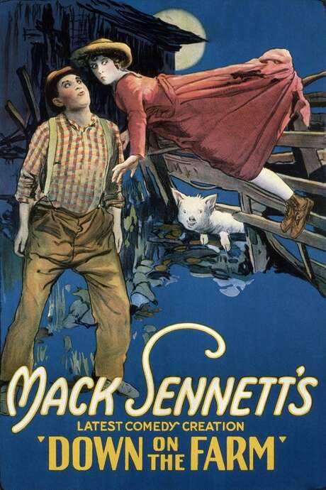 Down on the Farm (1920) movie poster