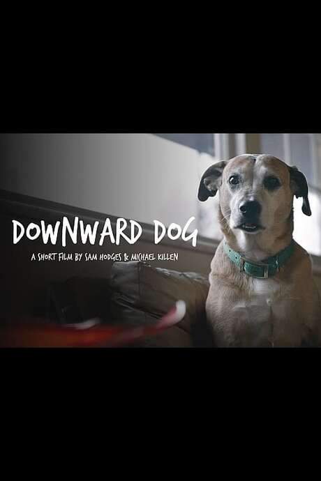 Downward Dog (2016) movie poster