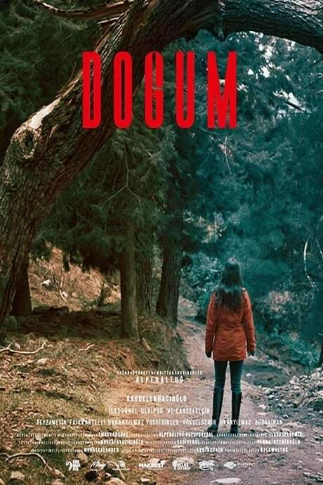 When Atlas's husband Özer disappears, she learns from the police that he is missing. Examining his belongings, she discovers coordinates saved on his phone and sets out to follow them. Her journey leads her to uncover a hidden life and the shocking truth that Özer was a brilliant scientist who conducted groundbreaking research on dark matter and parallel universes. He ultimately found a way to transition to another universe, and Atlas follows the clues he left behind, venturing into the unknown to find him.