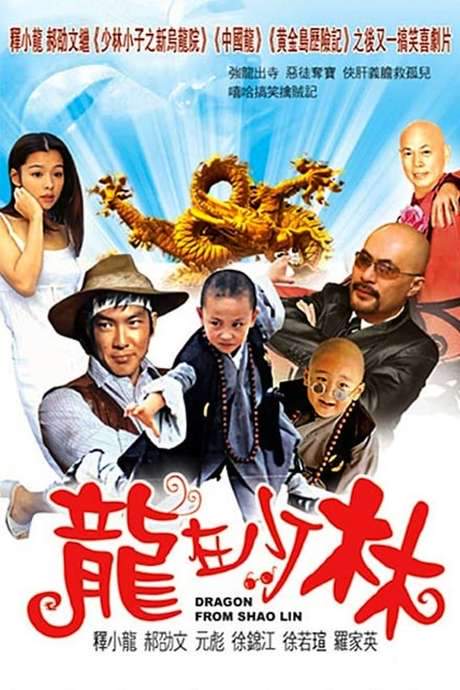 Dragon from Shaolin (1996) movie poster
