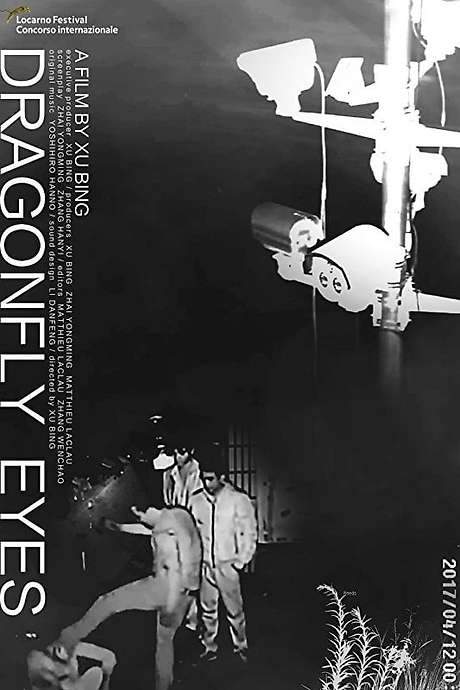 Dragonfly Eyes (2017) movie poster