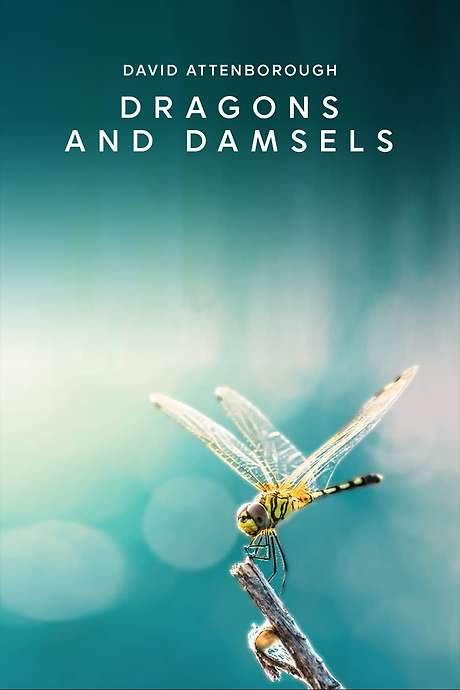 Dragons and Damsels (2019) movie poster