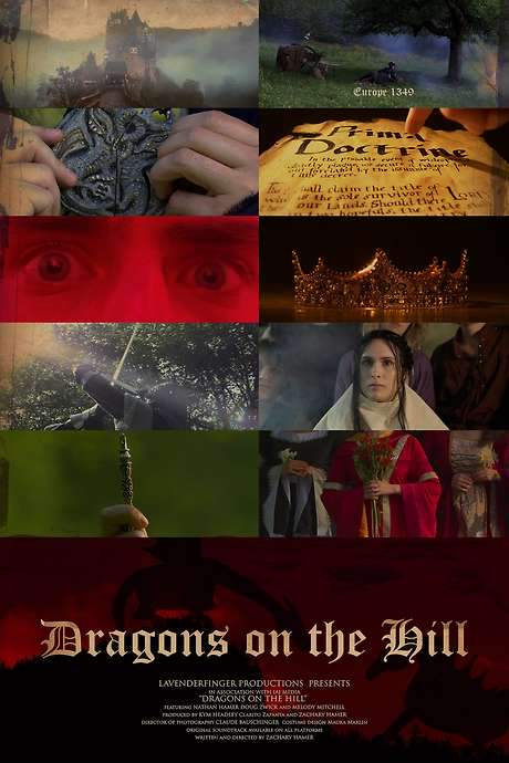 Dragons on the Hill (2024) movie poster