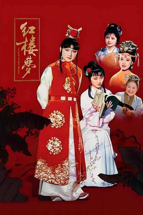 Dream of the Red Chamber (1987) movie poster