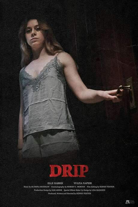 Elle finds her new home isn't the peaceful retreat she hoped for when unsettling noises interrupt her solitude. As she investigates, she uncovers a sinister presence and its dark intentions. What begins as a disturbing mystery quickly escalates into a desperate fight for survival against an unseen tormentor.