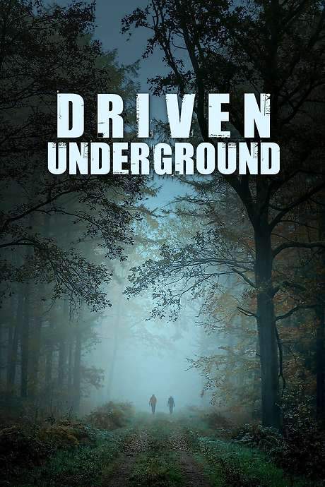 Driven Underground (2015) movie poster