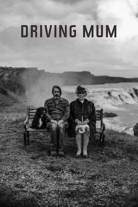 Driving Mum (2022) movie poster